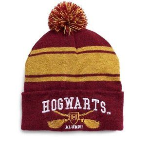 NEW Unisex Harry Potter Striped Hogwarts Varsity Knit Beanie Winter